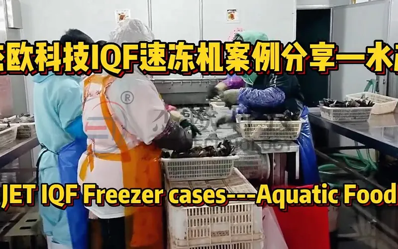 Unlock Perfect Quality: High-Efficiency JET IQF Freezer for Aquatic Foods